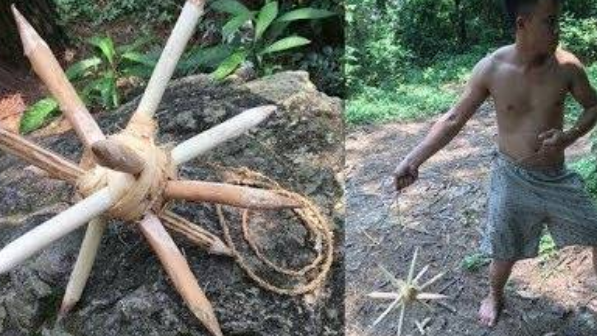 原始技术:武器危险原始(橄榄)